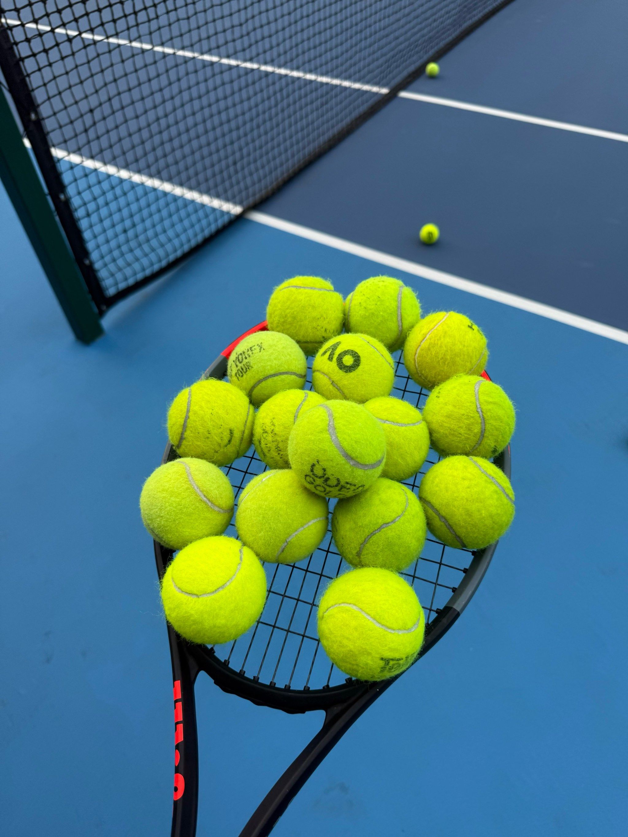 在本届比赛 在本届比赛